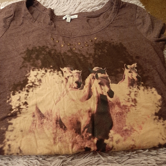 Two Shirts- One XL, One 1X - Picture 2 of 11